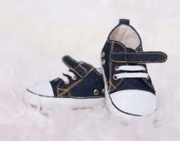 pexels-adrie-molco-1575393-3026856